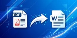 Convert PDF to Word online