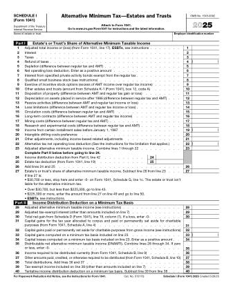 IRS Form 1041SI