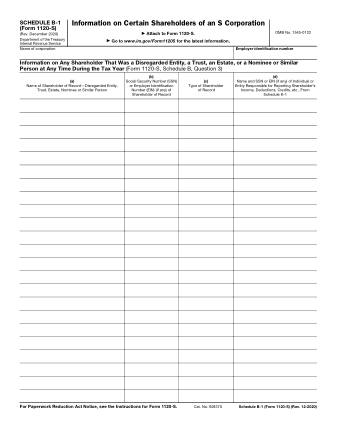 IRS Form 1120SSB