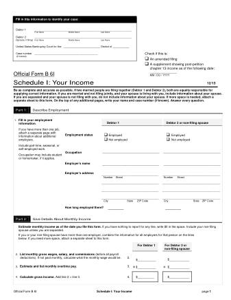 US Courts Form B 6I