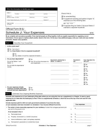 US Courts Form B 6J