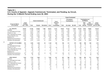 US Courts Form B001JUN04
