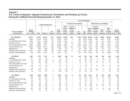 US Courts Form B01DEC12