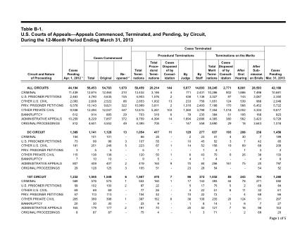 US Courts Form B01MAR13